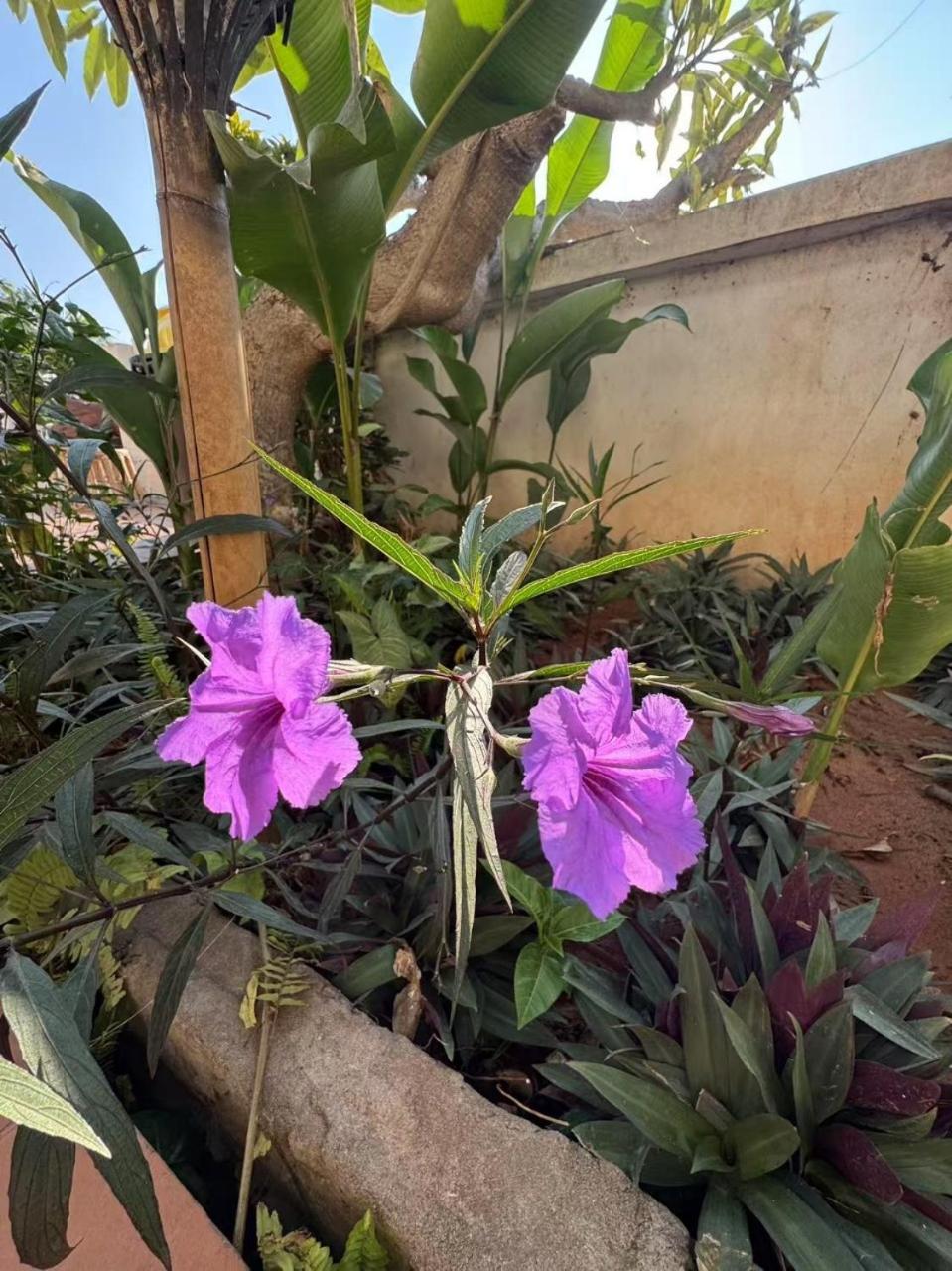 Alana Luang Prabang Hotel Kültér fotó