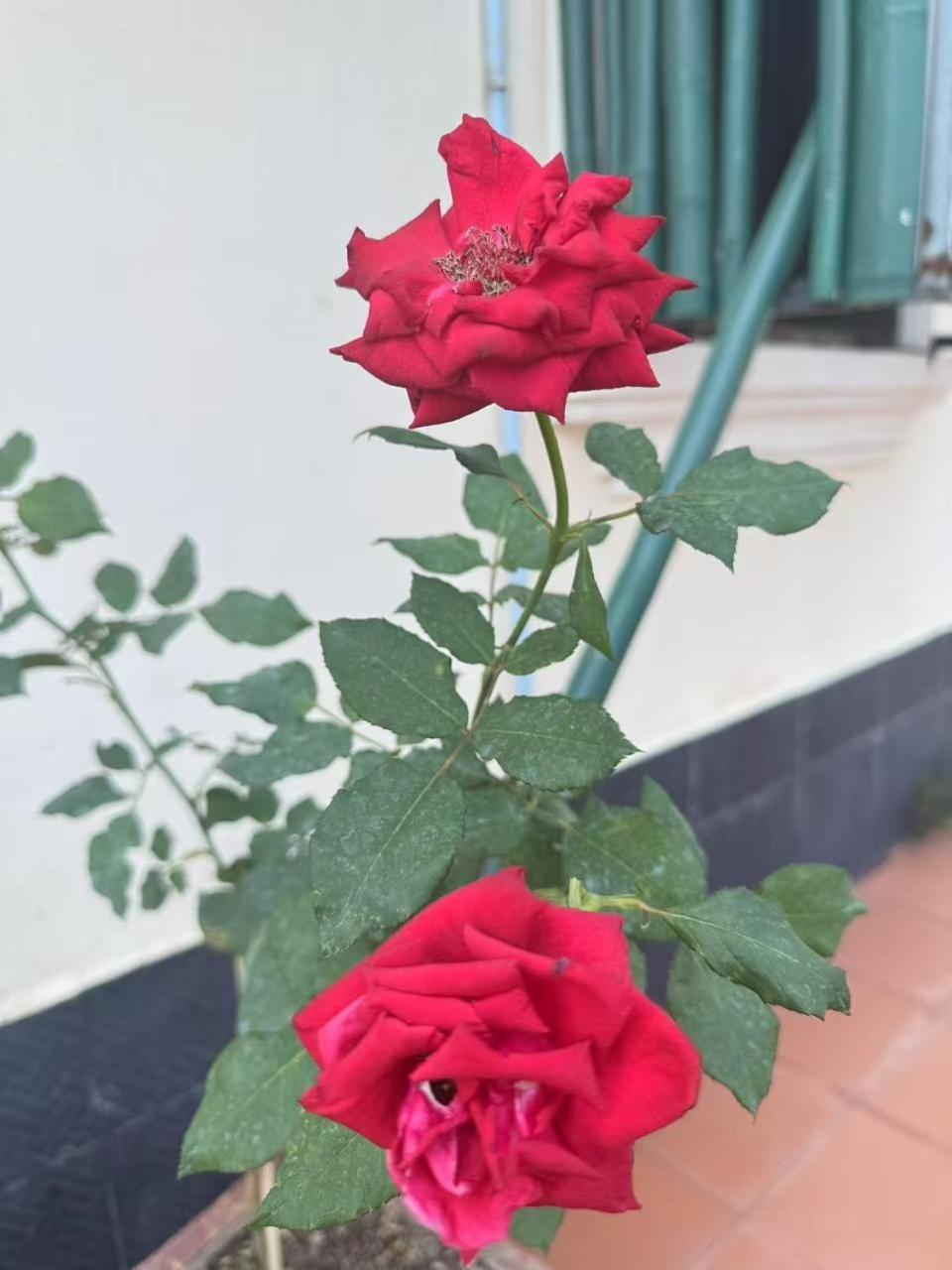 Alana Luang Prabang Hotel Kültér fotó